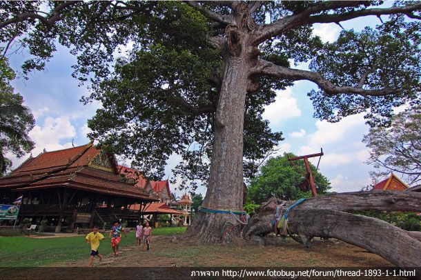 พิพิธภัณฑ์เรือพื้นบ้าน วัดยาง ณ รังสี - Image 2