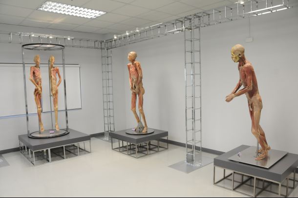 พิพิธภัณฑ์ร่างกายมนุษย์ - Image 5