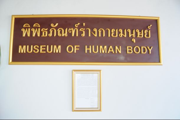พิพิธภัณฑ์ร่างกายมนุษย์ - Image 6