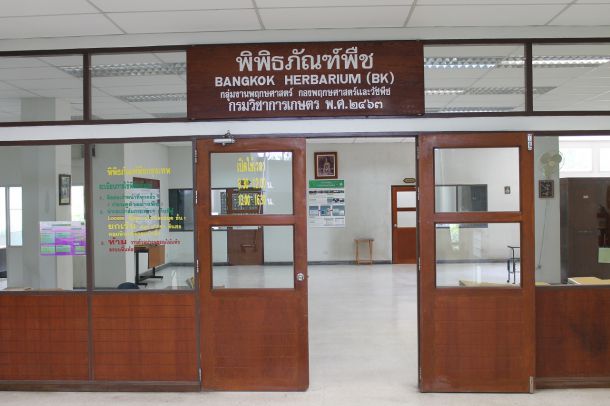 พิพิธภัณฑ์พืชกรุงเทพ - Image 6