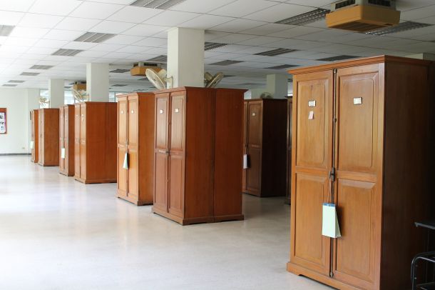 พิพิธภัณฑ์พืชกรุงเทพ - Image 4