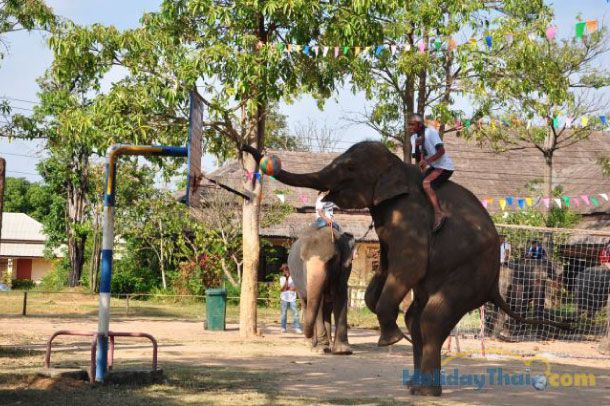 ศูนย์คชศึกษา - Image 6