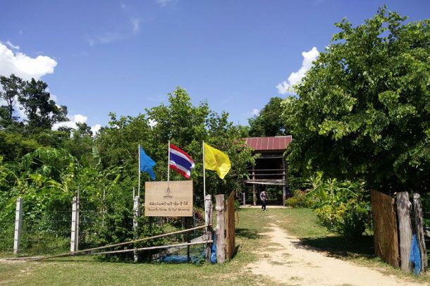 พิพิธภัณฑ์บ้านป้าทุ้ม-ป้าไท้ - Image 3