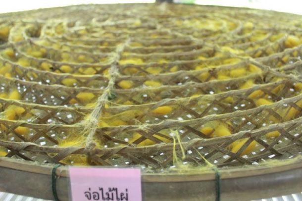 ศูนย์หม่อนไหมเฉลิมพระเกียรติสมเด็จพระนางเจ้าสิริกิติ์พระบรมราชินีนาถ สุรินทร์ - Image 6