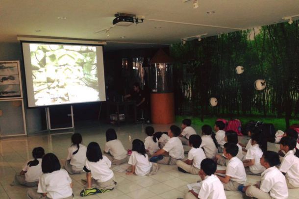 พิพิธภัณฑ์แมลง กรมวิชาการเกษตร - Image 6