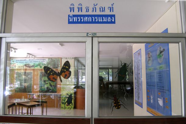 พิพิธภัณฑ์แมลง กรมวิชาการเกษตร - Image 3