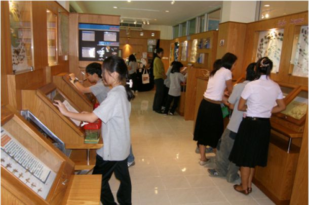 พิพิธภัณฑ์แมลง กรมวิชาการเกษตร - Image 5