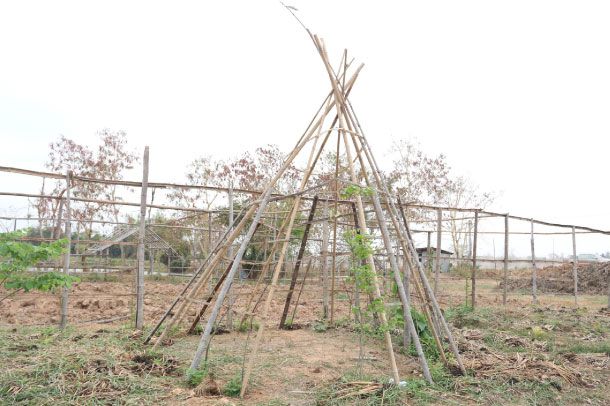 พิพิธภัณฑ์ธรรมชาติจัดการน้ำชุมชน ตามแนวพระราชดำริ - Image 6