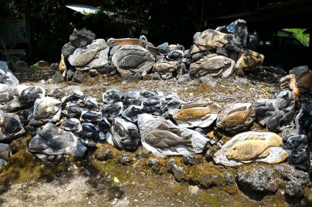 พิพิธภัณฑ์ปลาหิน - Image 4