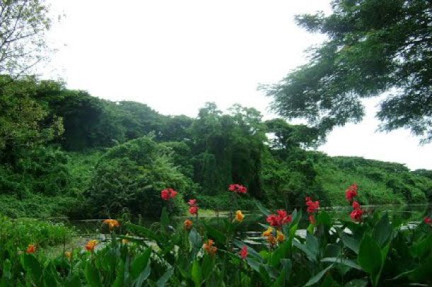พิพิธภัณฑ์ทหาร ศูนย์การทหารราบ (ค่ายธนะรัชต์) - Image 4