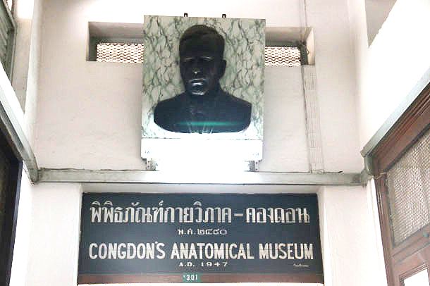 พิพิธภัณฑ์กายวิภาค-คองดอน - Image 2