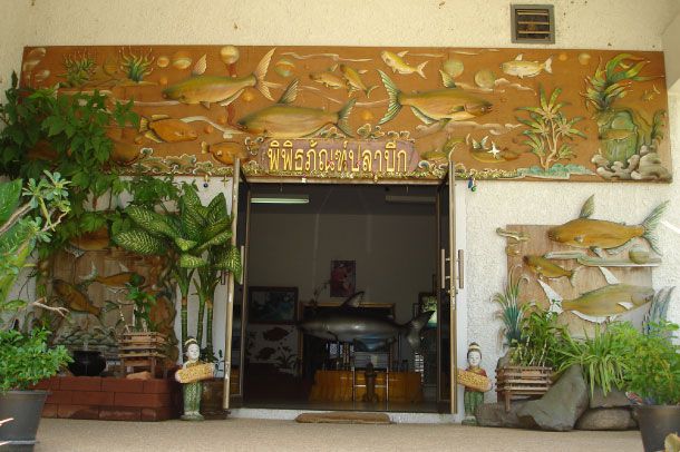 สถานแสดงพันธุ์สัตว์น้ำจืดพะเยา - Image 4