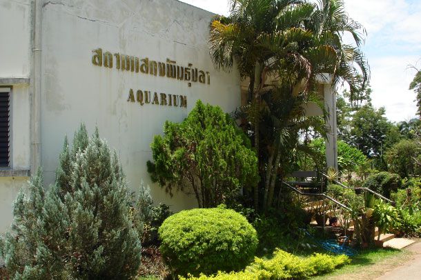 สถานแสดงพันธุ์สัตว์น้ำจืดพะเยา - Image 2