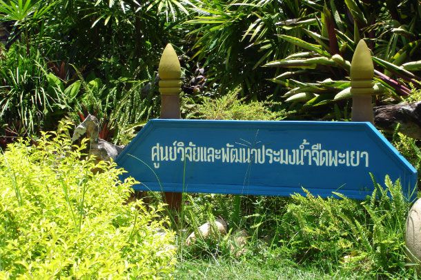 สถานแสดงพันธุ์สัตว์น้ำจืดพะเยา - Image 3
