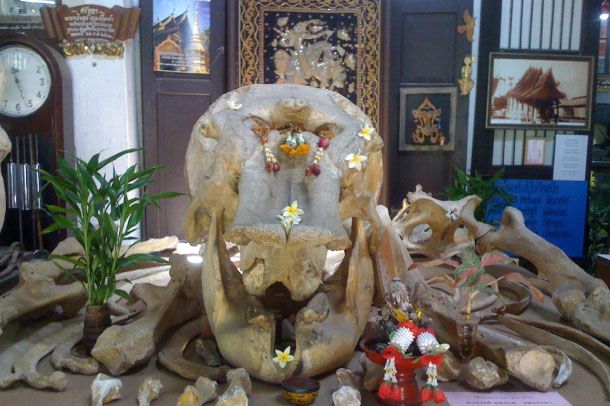 พิพิธภัณฑ์ชุมชนวัดเกตการาม - Image 3