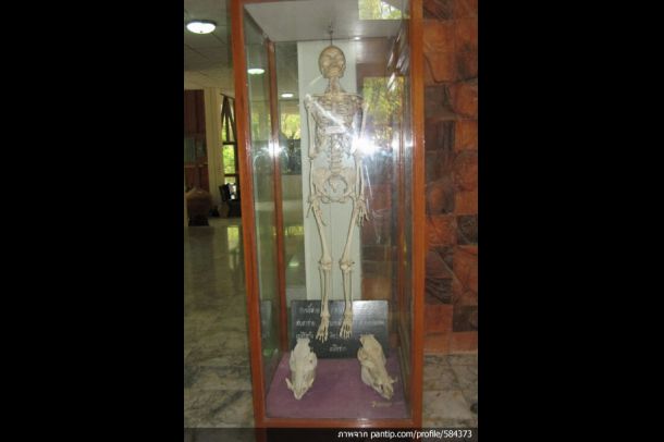 พิพิธภัณฑ์พระโพธิญาณเถร (ชา สุภทฺโท) - Image 6