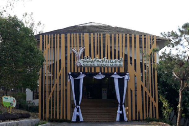 พิพิธภัณฑ์ธรรมชาติ - Image 2