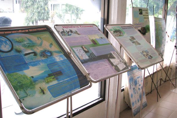 พิพิธภัณฑ์สัตว์และพืชทะเล - Image 3