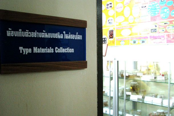 พิพิธภัณฑ์สัตว์และพืชทะเล - Image 5