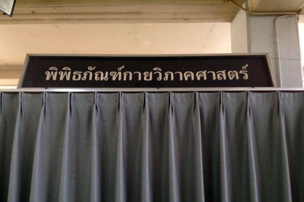 พิพิธภัณฑ์กายวิภาคศาสตร์ - Image 2