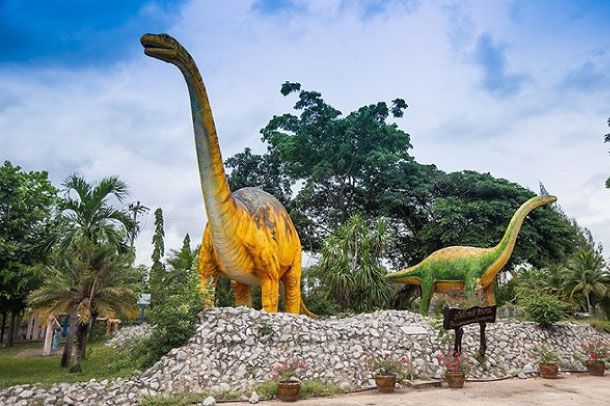 ศูนย์วิทยาศาสตร์เพื่อการศึกษาขอนแก่น - Image 5