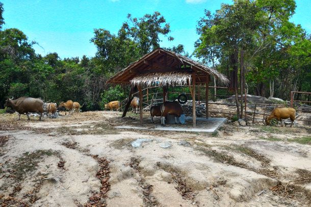 สวนสัตว์สงขลา - Image 5