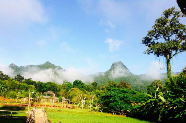 แหล่งเรียนรู้ดารา ดาเล บ้านดินฟาร์ม - Image 6