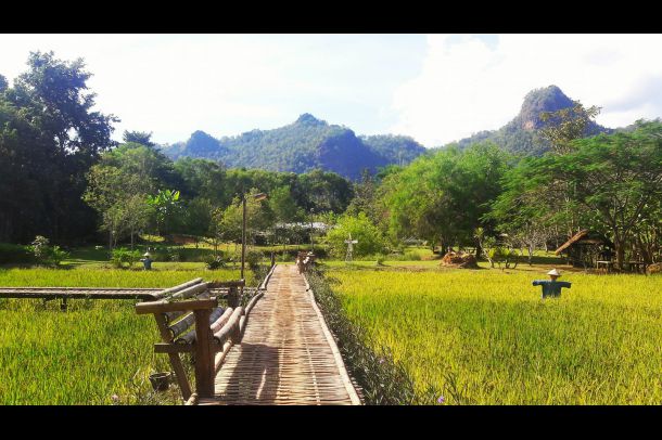 แหล่งเรียนรู้ดารา ดาเล บ้านดินฟาร์ม - Image 5