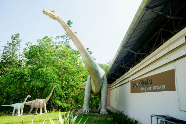 วนอุทยานไดโนเสาร์แก่งหลวง - Image 3