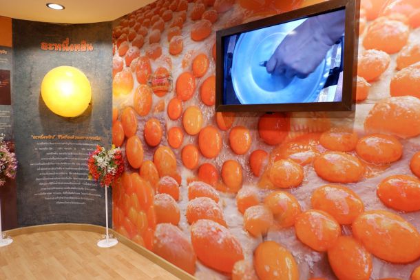 พิพิธภัณฑ์ชุมชนบางเหนียว - Image 2