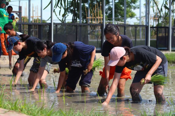 ศูนย์เรียนรู้วิถีชีวิตและจิตวิญญาณชาวนาไทย - Image 6