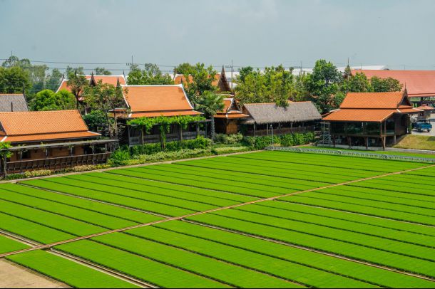 ศูนย์เรียนรู้วิถีชีวิตและจิตวิญญาณชาวนาไทย - Image 3