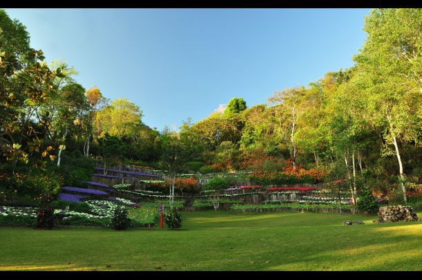 สวนรุกขชาติแม่ฟ้าหลวง(สวนกุหลาบพันปี) - Image 2
