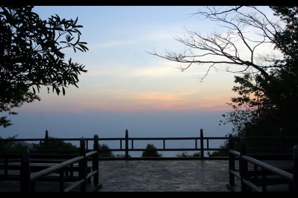 สวนรุกขชาติแม่ฟ้าหลวง(สวนกุหลาบพันปี) - Image 3