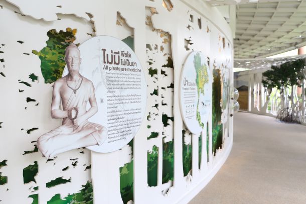 อุทยานธรรมชาติวิทยาสิรีรุกขชาติ มหาวิทยาลัยมหิดล - Image 6