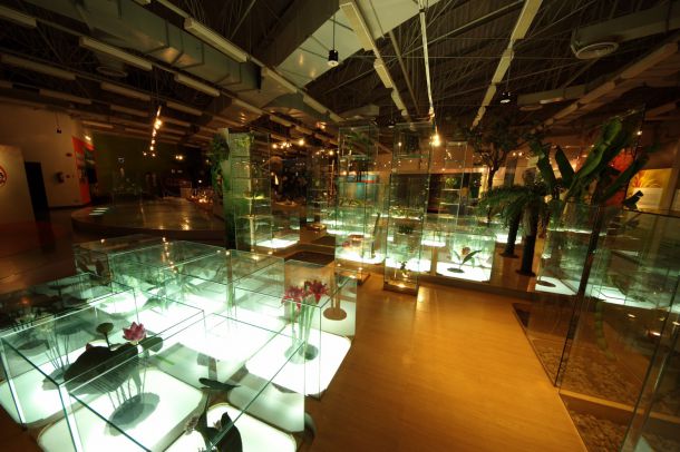 พิพิธภัณฑ์ธรรมชาติวิทยา อพวช. - Image 6