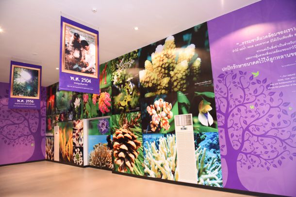 ศูนย์การเรียนรู้ กฟผ. เขื่อนศรีนครินทร์ (ราชานุรักษ์) - Image 3