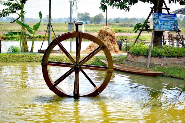 ศูนย์เรียนรู้เศรษฐกิจพอเพียงบ้านของพ่อ - Image 5