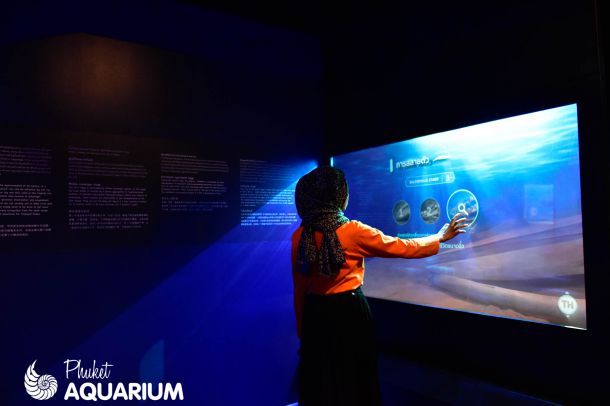 สถานแสดงพันธุ์สัตว์นํ้าภูเก็ต - Image 6