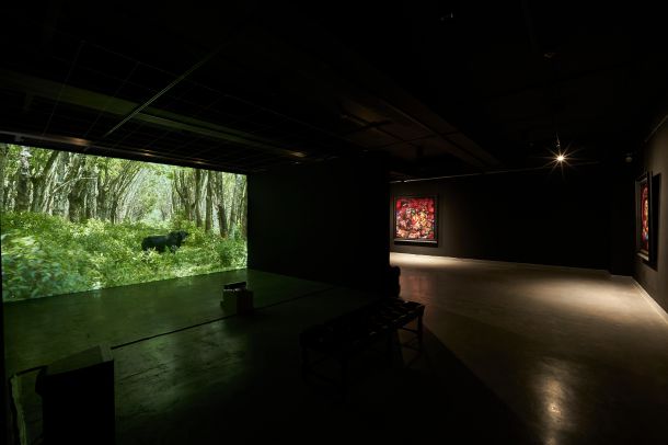 SAC Gallery - Image 3