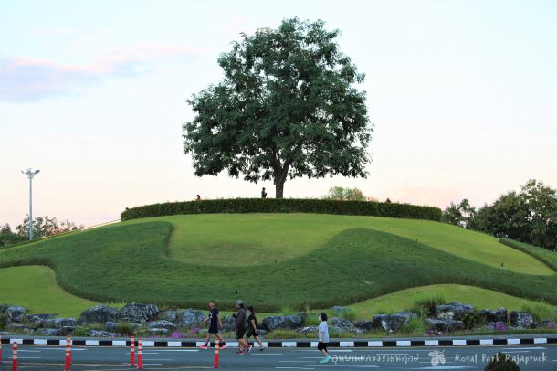 อุทยานหลวงราชพฤกษ์ - Image 4