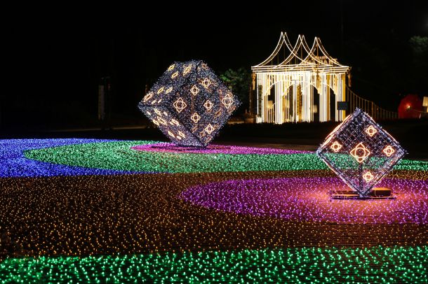 อุทยานหลวงราชพฤกษ์ - Image 2