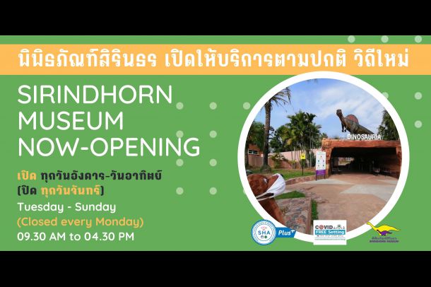 พิพิธภัณฑ์สิรินธร - Image 5