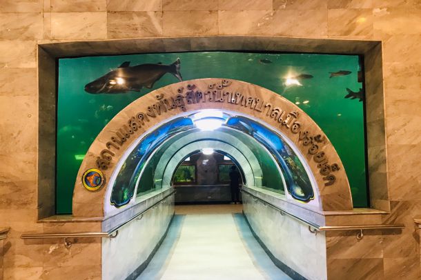 สถานแสดงพันธุ์สัตว์น้ำเทศบาลเมืองร้อยเอ็ด - Image 2