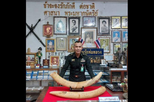 พิพิธภัณฑ์ผู้พันไก่พิษณุโลก - Image 5