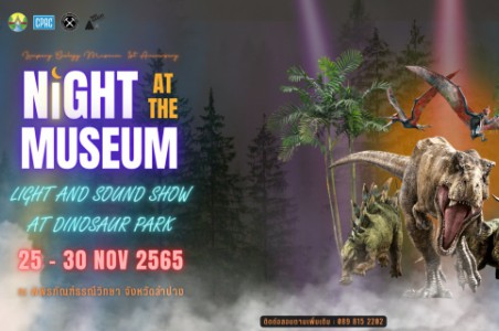 Night at the Museum