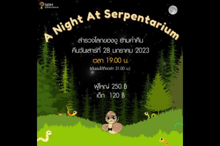 A Night @ Serpentarium
